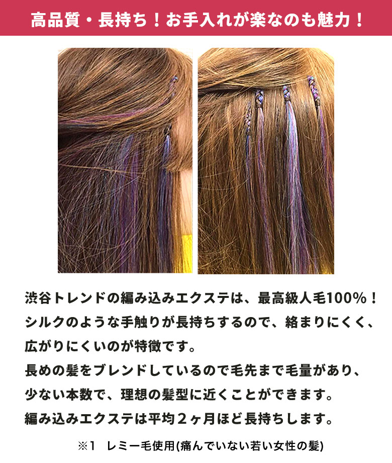 楽天市場】編込みエクステ 67cm80g ライトカラー PLATINUM 腰まで