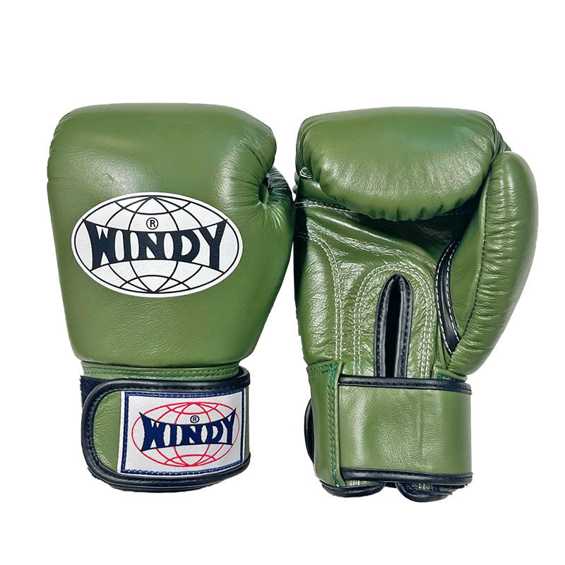 楽天市場】【日本総代理店】特注カラーWINDY(ウィンディ) BGVH