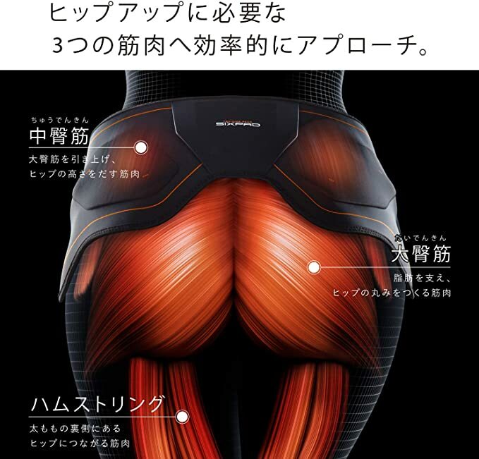 楽天市場】【新品】MTG SIXPAD シックスパッド ボトムベルト L(Bottom