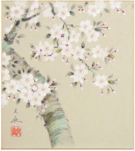 楽天市場】中谷文魚 「 桜 」 色紙絵 : 内田画廊