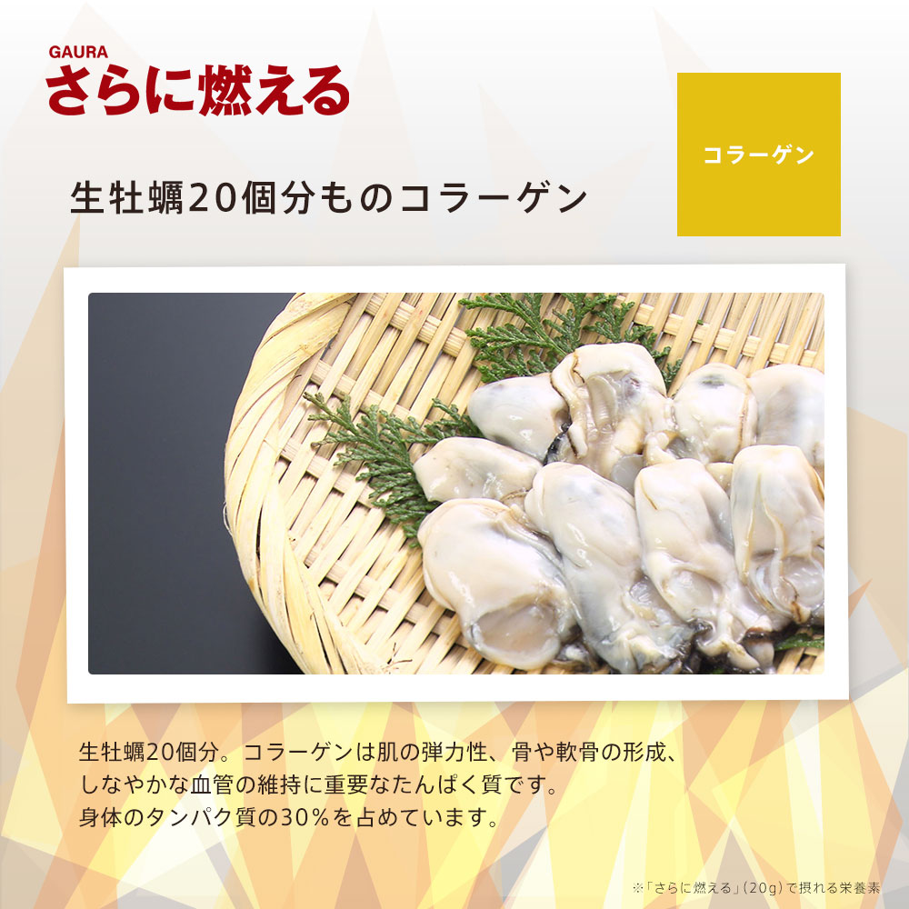 楽天市場】［送料無料］［高評価］［ガウラ公式］GAURA さらに燃える