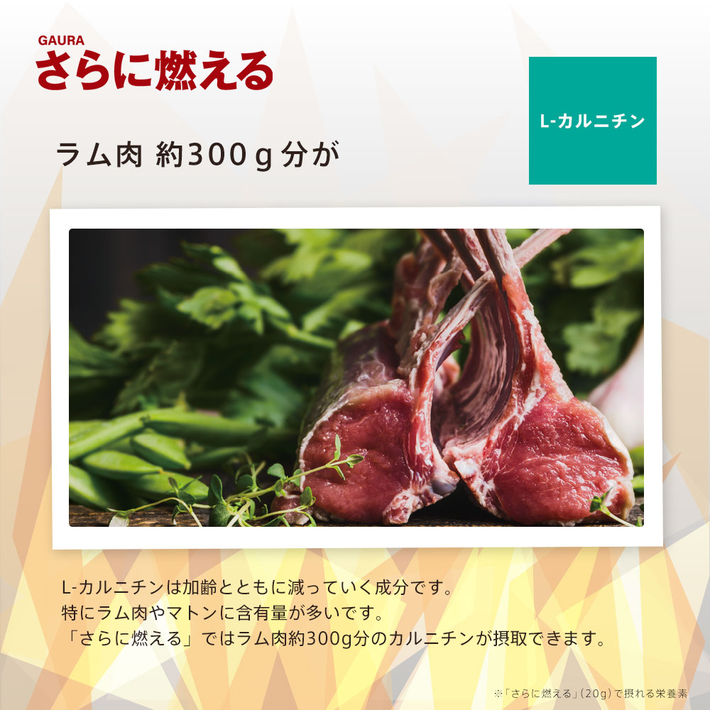 楽天市場】［送料無料］［高評価］［ガウラ公式］GAURA さらに燃える