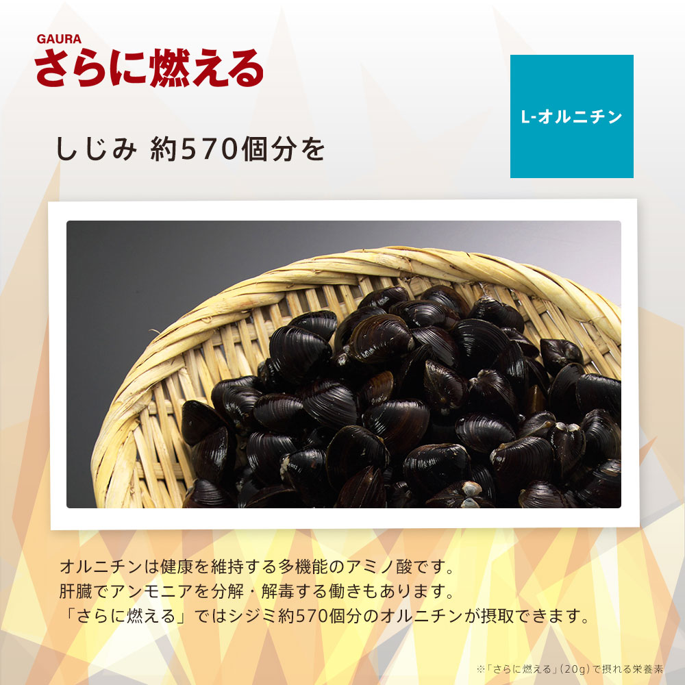 楽天市場】［送料無料］［高評価］［ガウラ公式］GAURA さらに燃える