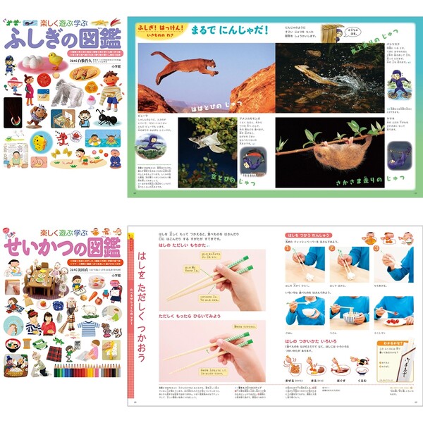 楽天市場】小学館 図鑑NEO プレNEO 11冊セット 不思議 世界 日本