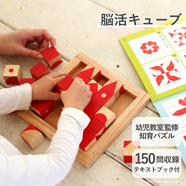楽天市場】エドインター GENI 脳活キューブ 807774 木製知育パズル
