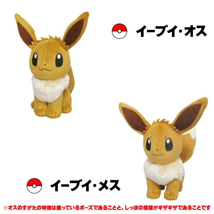楽天市場】ポケモン ALLSTAR COLLECTION ブイズぬいぐるみ イーブイ
