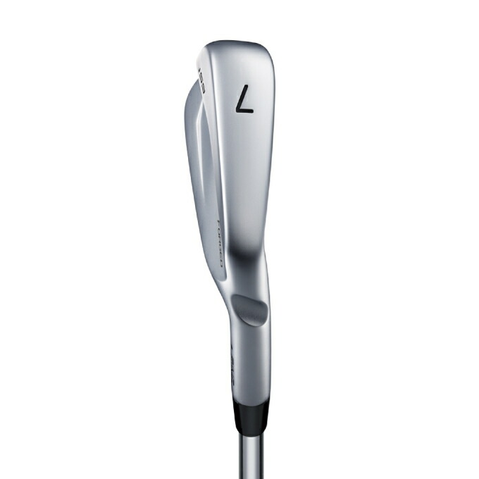 楽天市場】ピン PING ゴルフクラブ アイアンセット 6本組 メンズ N.S.