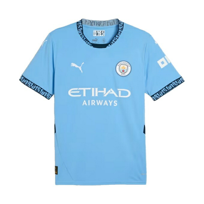 楽天市場】プーマ サッカーウェア レプリカシャツ メンズ