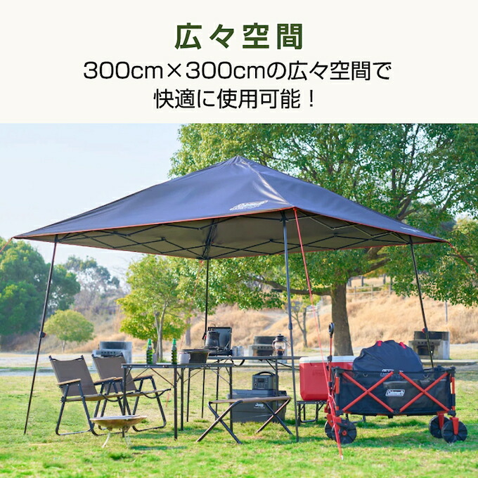 楽天市場】コールマン インスタントバイザーシェード3/L ダークルーム