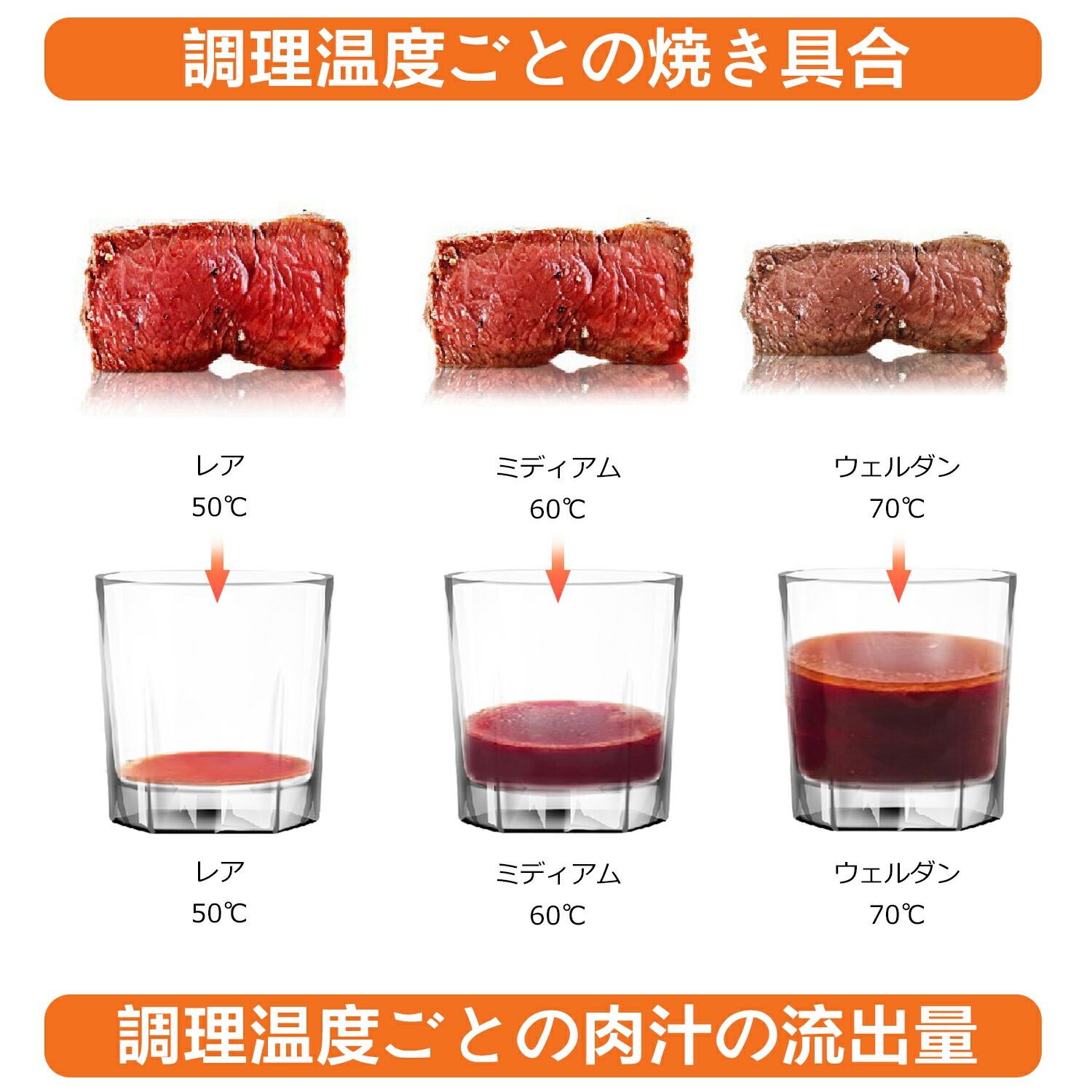 楽天市場】Takistar 低温調理器具 真空調理器 スロークッカー