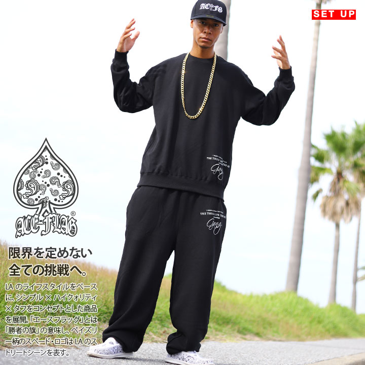 楽天市場】ACE FLAG 上下セット 長袖 ブランド スケボー メンズ 春秋冬