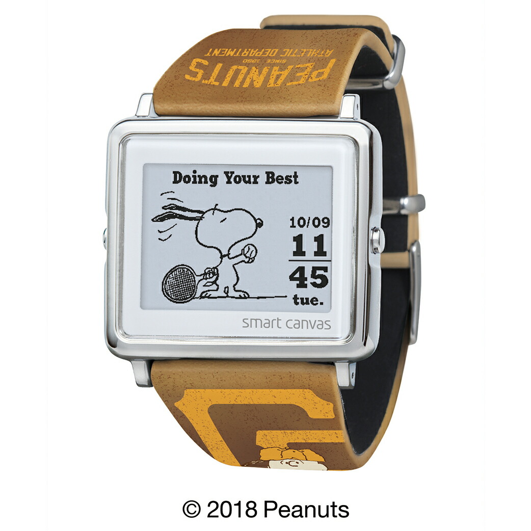 エプソン スマートキャンバス 付け替えベルト付き