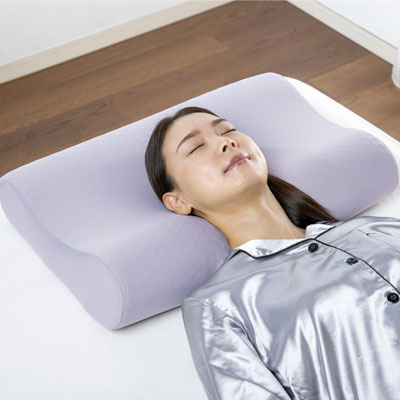 楽天市場】フランスベッド ズカンピロー 放熱シート内蔵まくら ZUKAN