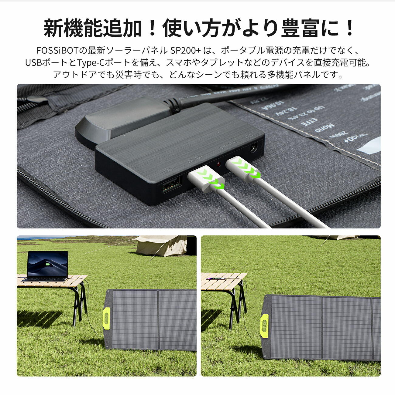 楽天市場】【2/26迄！DEAL10%ポイントバック！】最短翌日配達☆楽天1位