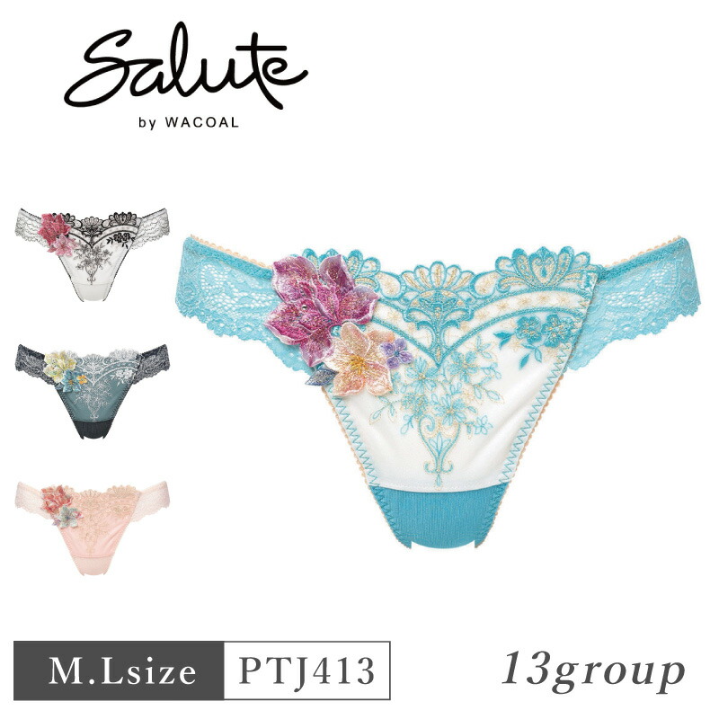 ワコール サルート ブラジャー ショーツ ソング スリップ 豪華4点