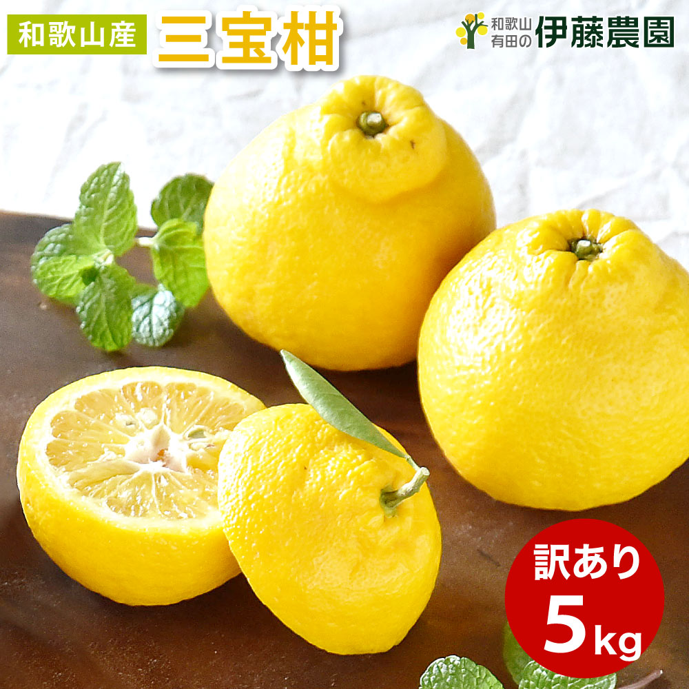 楽天市場】三宝柑 訳あり 5kg 送料無料 和歌山 さんぽうかん 春 の