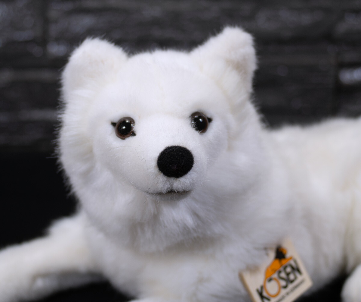 楽天市場】ケーセン ぬいぐるみ Kosen ミッテルスピッツ フリーダ 38cm