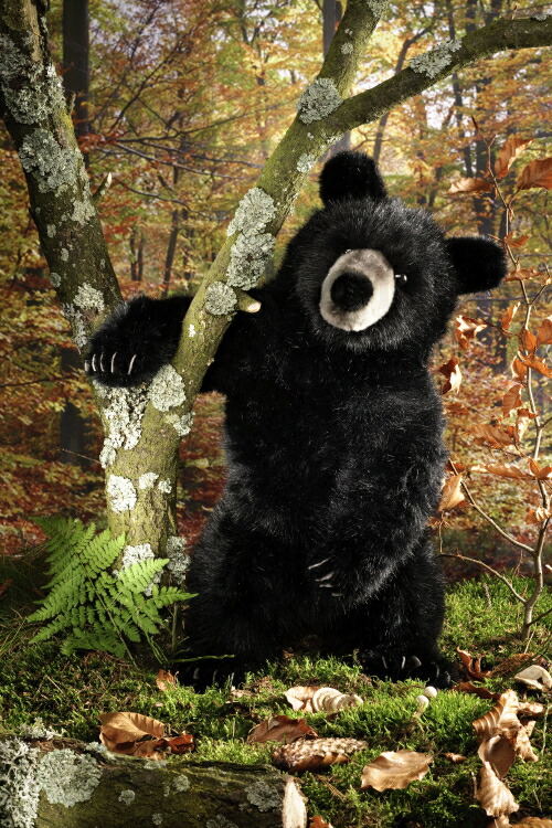 楽天市場】ケーセン ぬいぐるみ Kosen ソフトブラックベア (大) 51cm