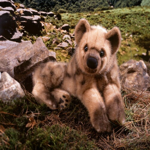 楽天市場】ケーセン ぬいぐるみ Kosen ハイエナ 44cm Hyena Lulonga