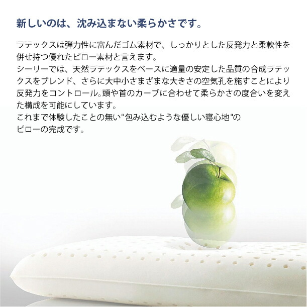 楽天市場】Sealy ラテックスピロー コンベックス ソフト ピローケース