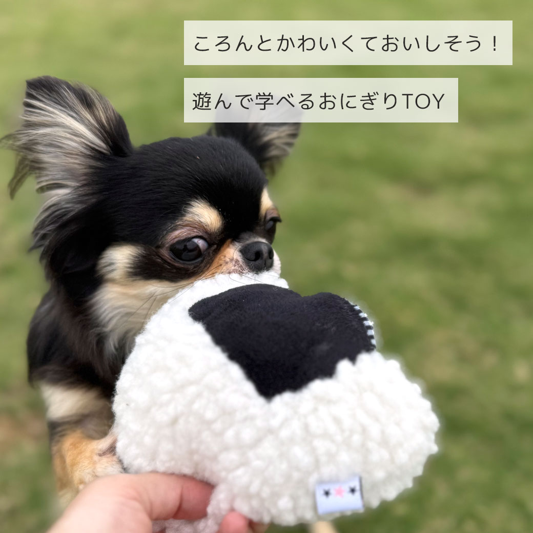 楽天市場】【 犬 おもちゃ 】iDog ないしょのポケット 大きなおにぎり