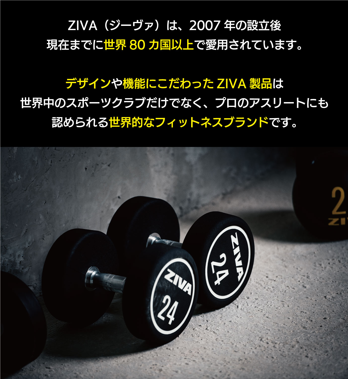 楽天市場】【業務用】ウレタンダンベル 10ペア 20個 1-10kg ダンベル