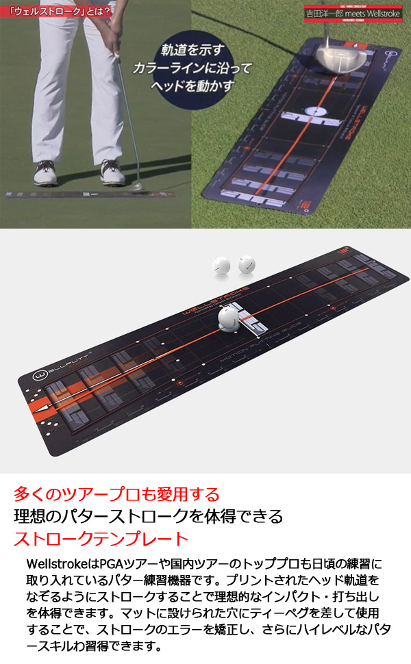 楽天市場】【23年継続モデル】 ウェルストローク wellstroke/ARC12