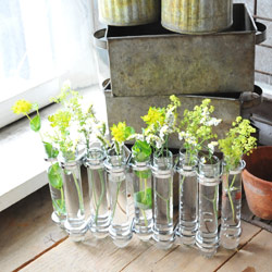 楽天市場】【フラワーベース ガラスベース 花瓶 全2色 インテリア 雑貨