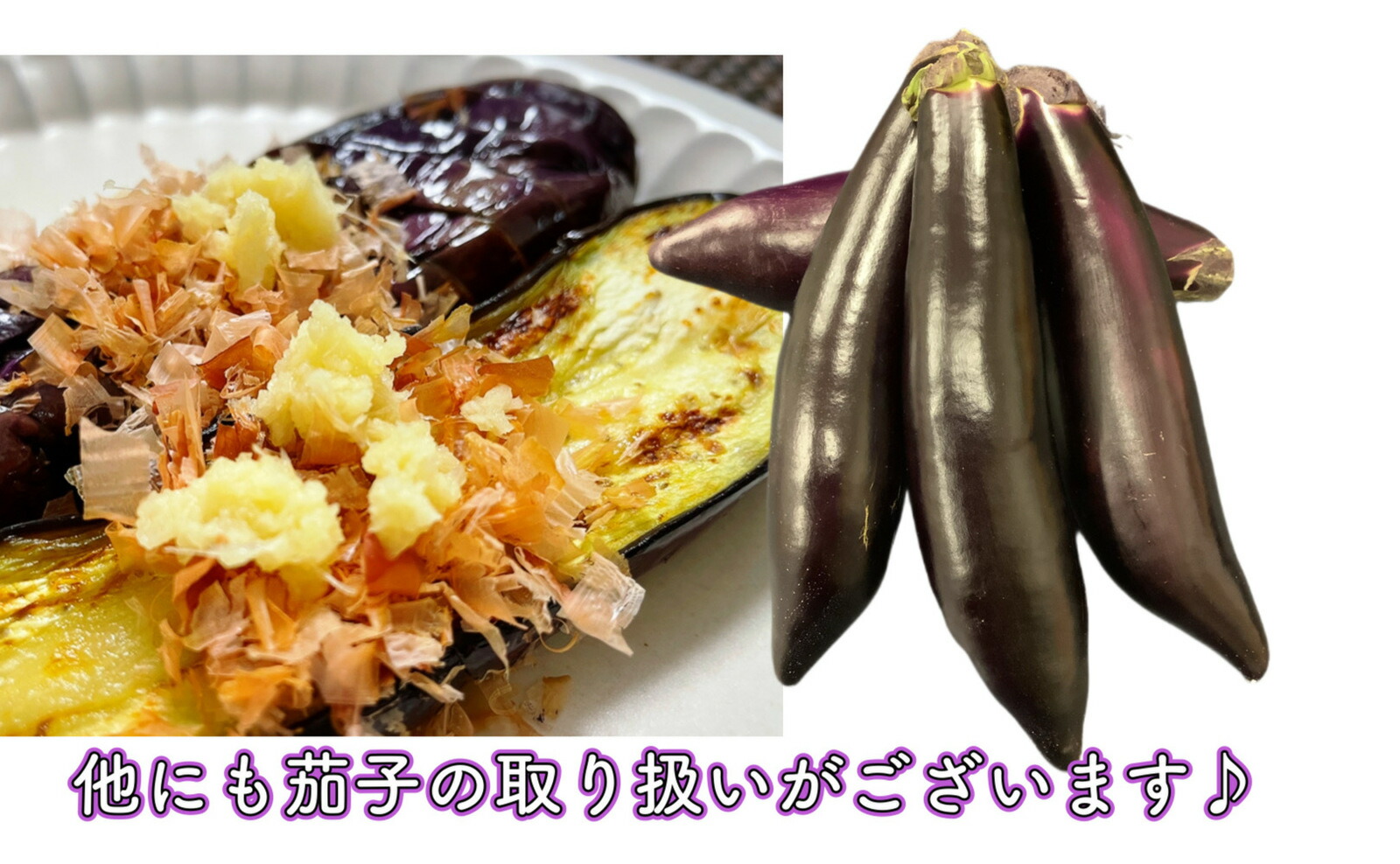 楽天市場】高知県産 なす 茄子 なすび ナス 訳あり 500g 国産 わけあり