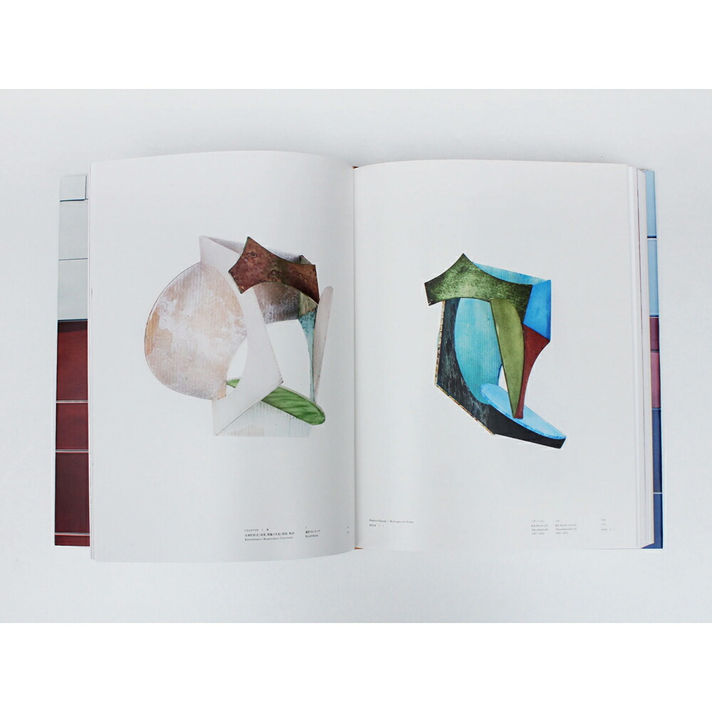 楽天市場】【サイン入り】岡崎乾二郎 視覚のカイソウ : 京都 蔦屋書店