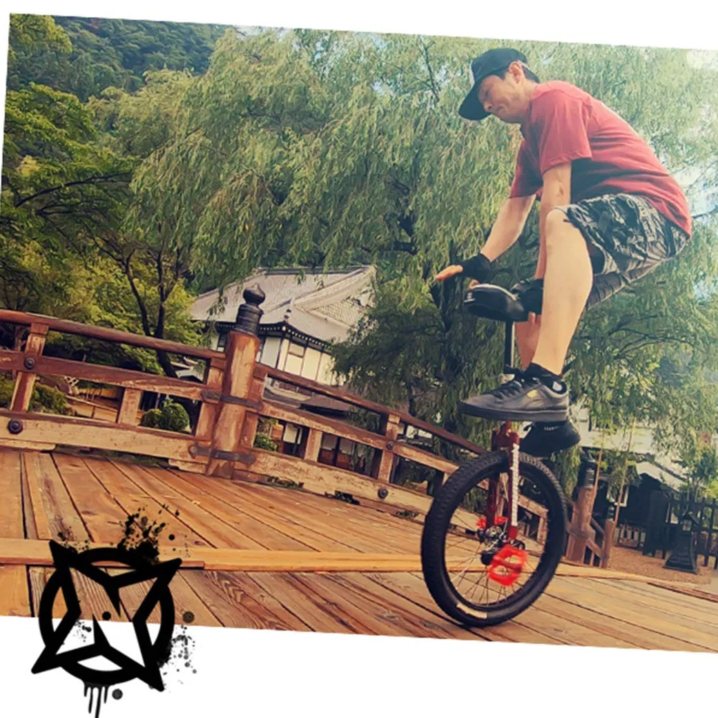 楽天市場】一輪車 20インチ ニンジャウィール18 忍者 子供 大人 自転車