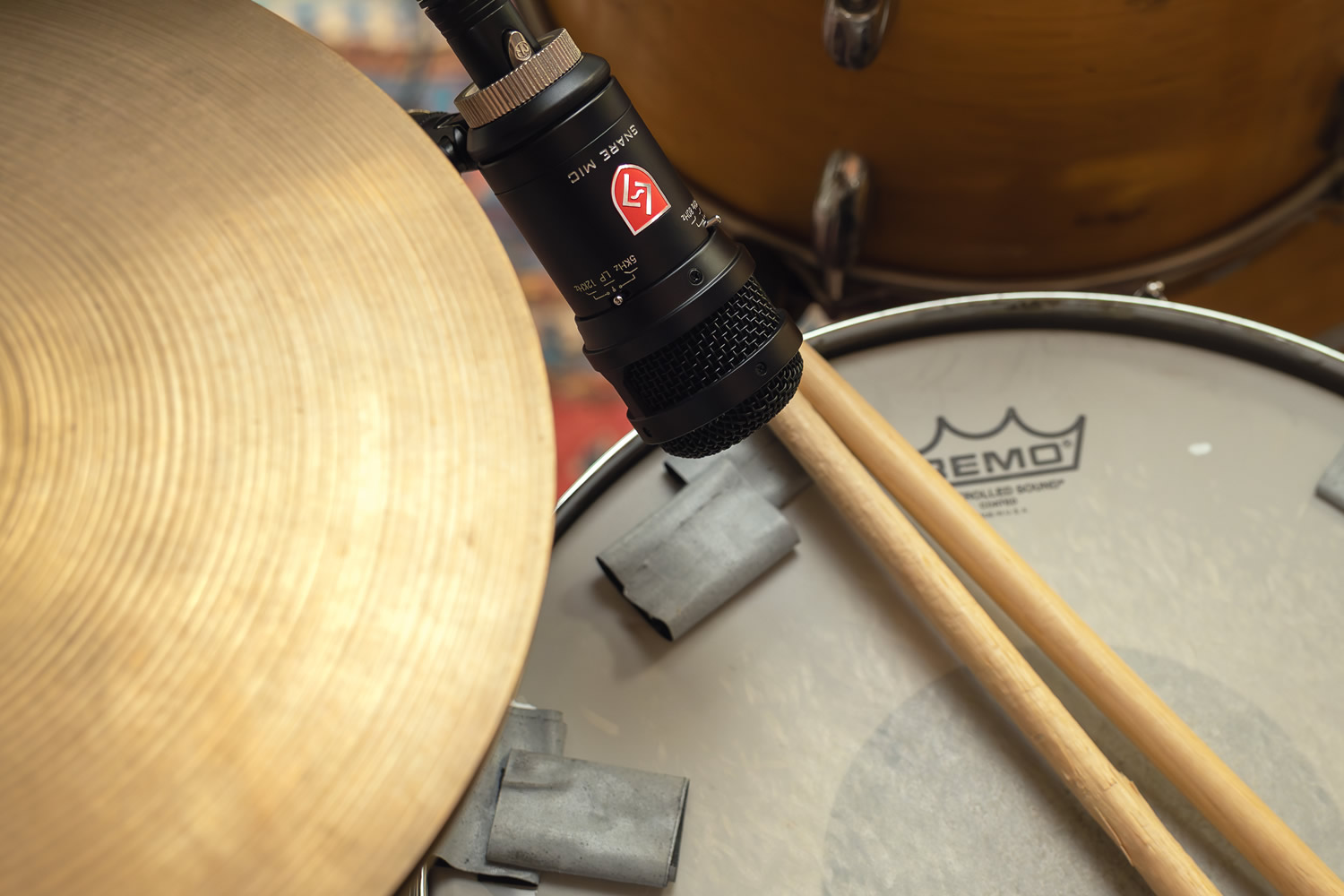 楽天市場 | キクタニミュージック 楽天市場店 - カリフォルニア発の