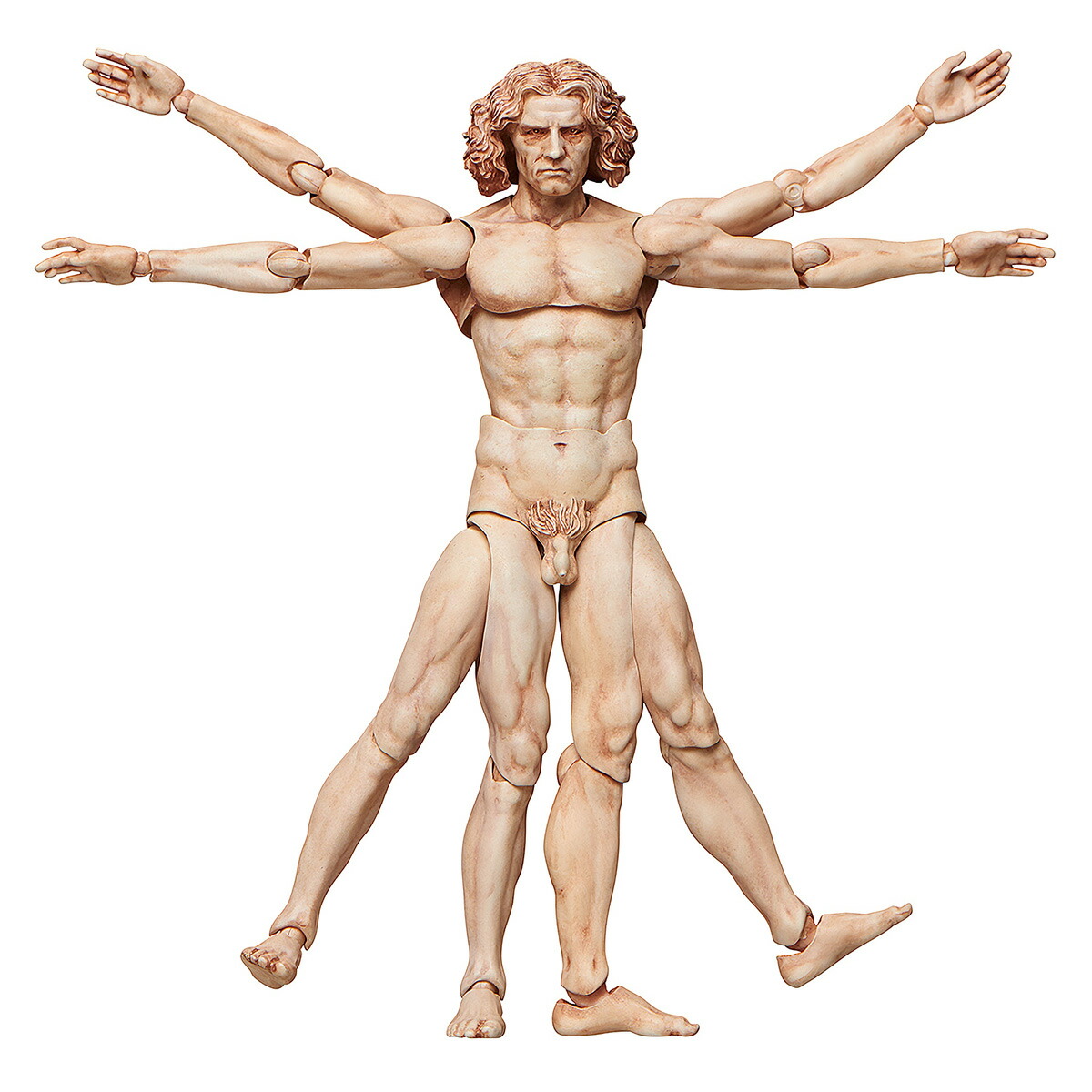 楽天市場】figma テーブル美術館 ウィトルウィウス的人体図 ABS&PVC製