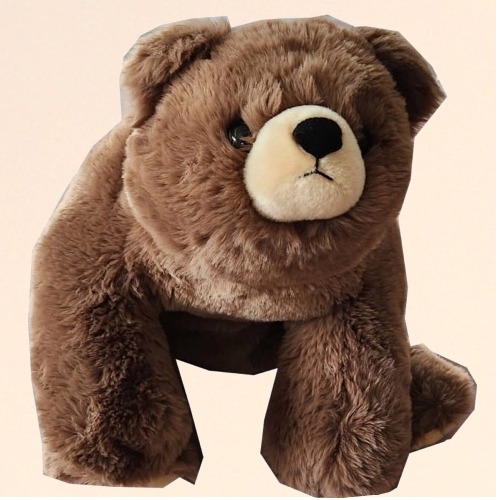 楽天市場】＜特別送料込＞ くったりくまぬいぐるみM茶色 同梱可です