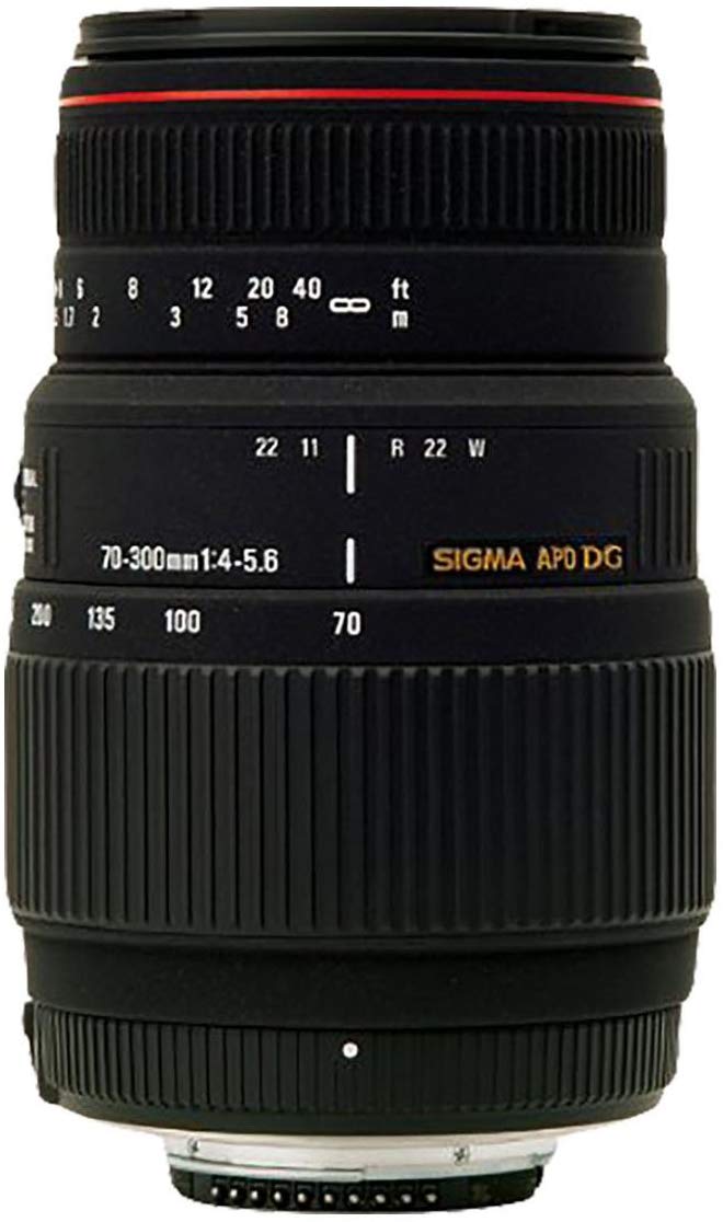 楽天市場】sigma 70-300 canon用の通販