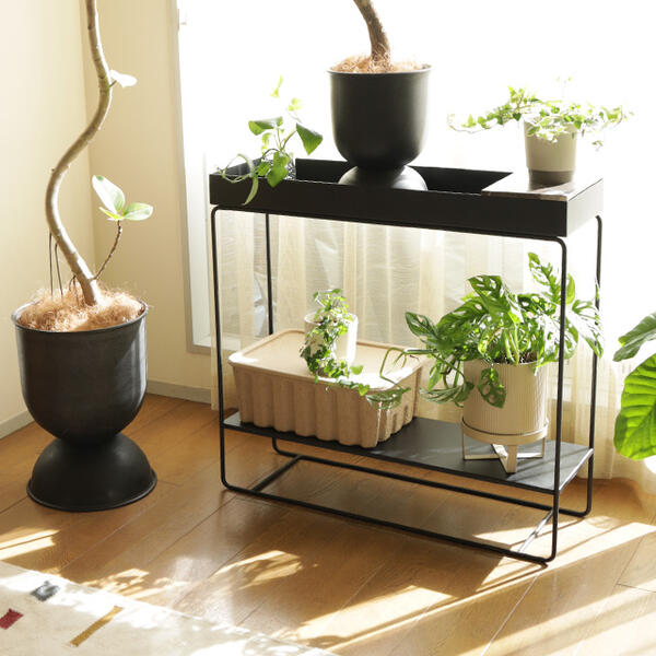 楽天市場】【お取り寄せ】Ferm Living (ファームリビング) Plant Box