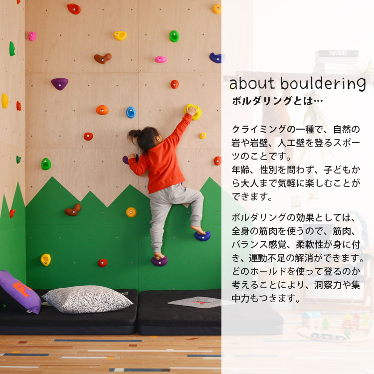 楽天市場】【全品対象クーポン配布中】 クライミング ホールド 32個