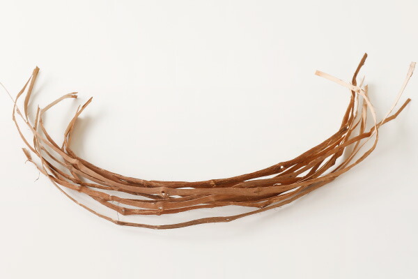 楽天市場】やまぶどうひご 節付 10本組み(約)長さ70〜100cm(約)幅8