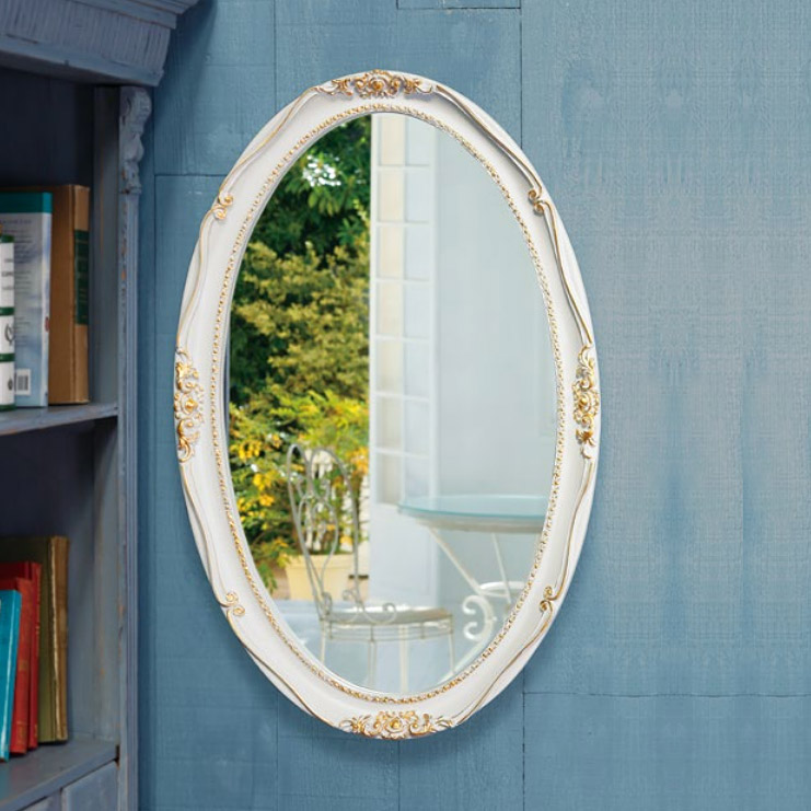 楽天市場】楕円形 ミラー 500x760mm 楕円形 鏡 壁掛け ミラー 壁掛け