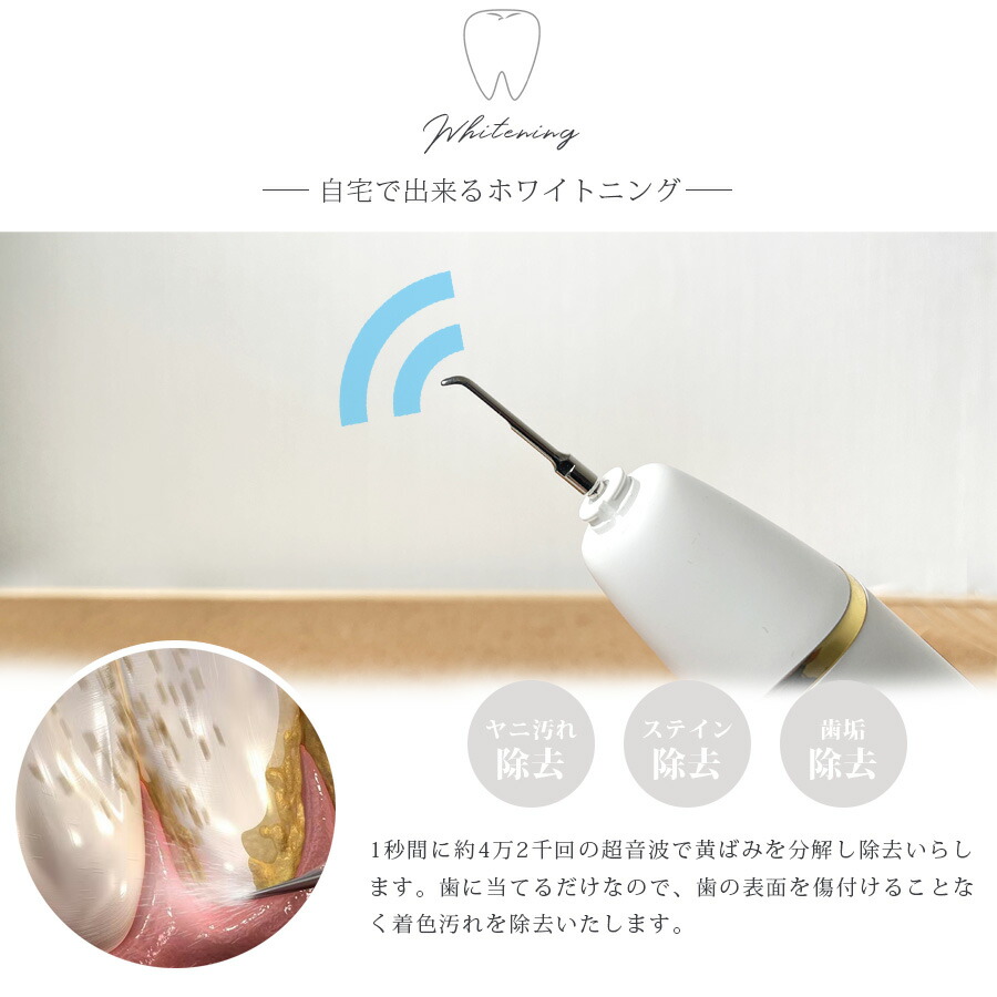 楽天市場】25日限定15％offクーポン 電動歯ブラシ シャイニーキャビ