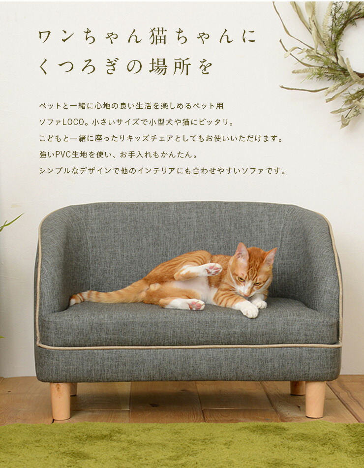 楽天市場】【ポイント5倍!25日限定】 【脚取り外し可】ペット用 ソファ