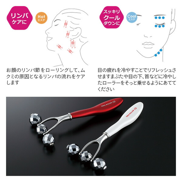 楽天市場】【P10倍 2/24 9:59迄】 テラローラー アイ2 テラタイト