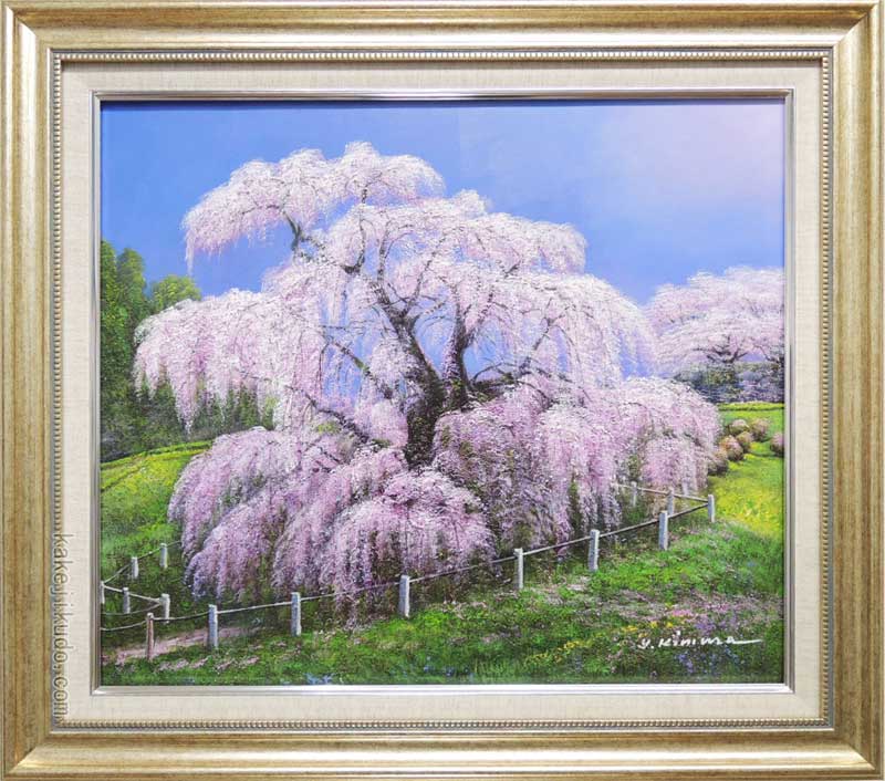 楽天市場】絵画 油絵 三春滝桜 （木村由記夫） 送料無料 【肉筆