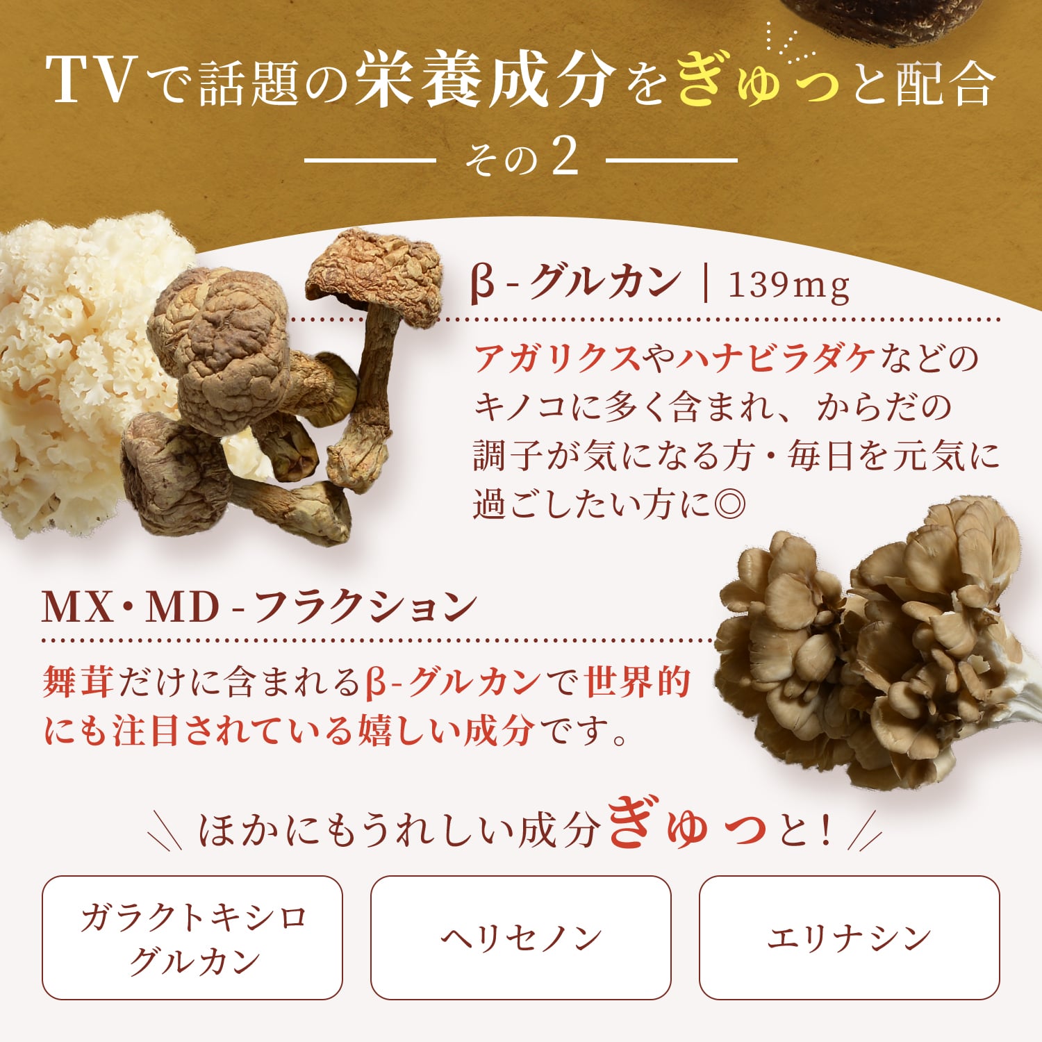 楽天市場】【テレビで紹介】タモギダケ しいたけ菌糸体 アガリクス