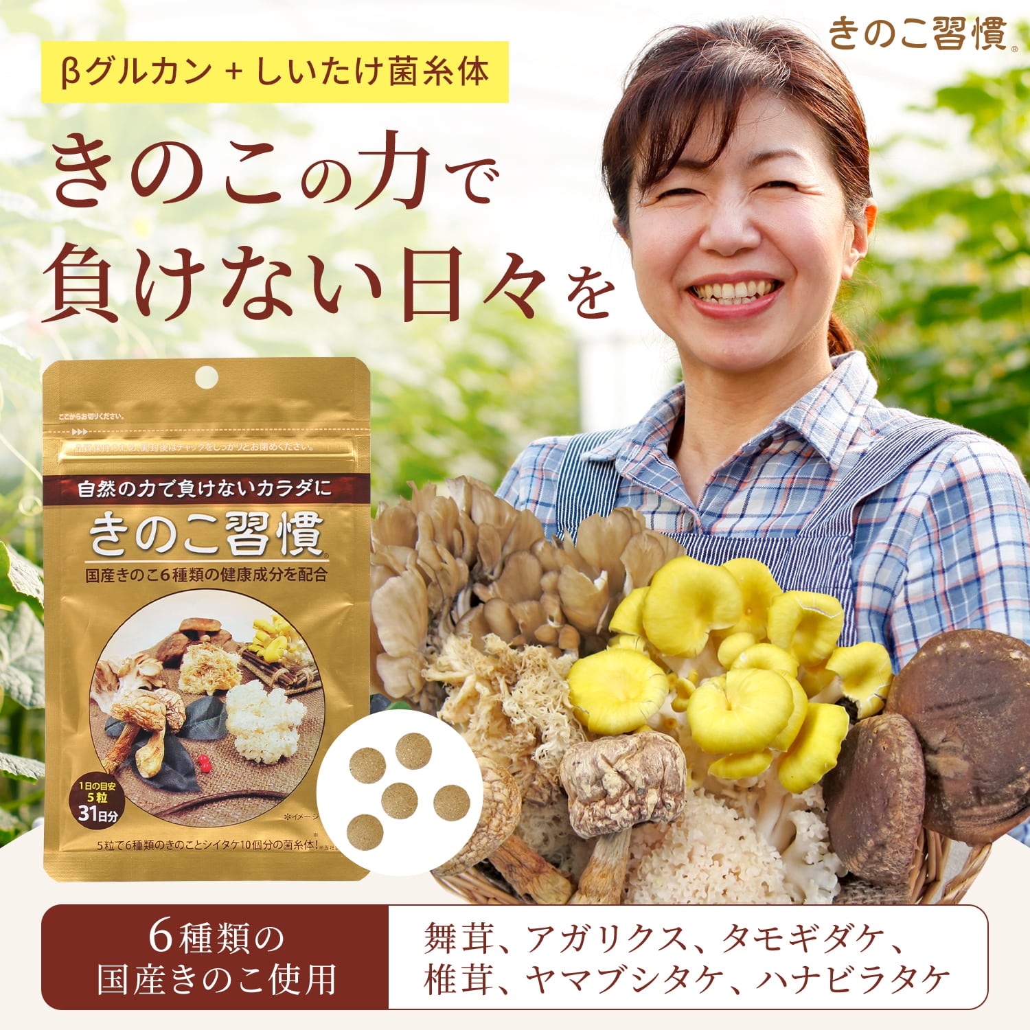 楽天市場】【テレビで紹介】タモギダケ しいたけ菌糸体 アガリクス