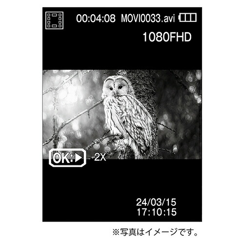 楽天市場】【アウトレット(新古品)[店舗保証3ヵ月]】【即配】IRナイト