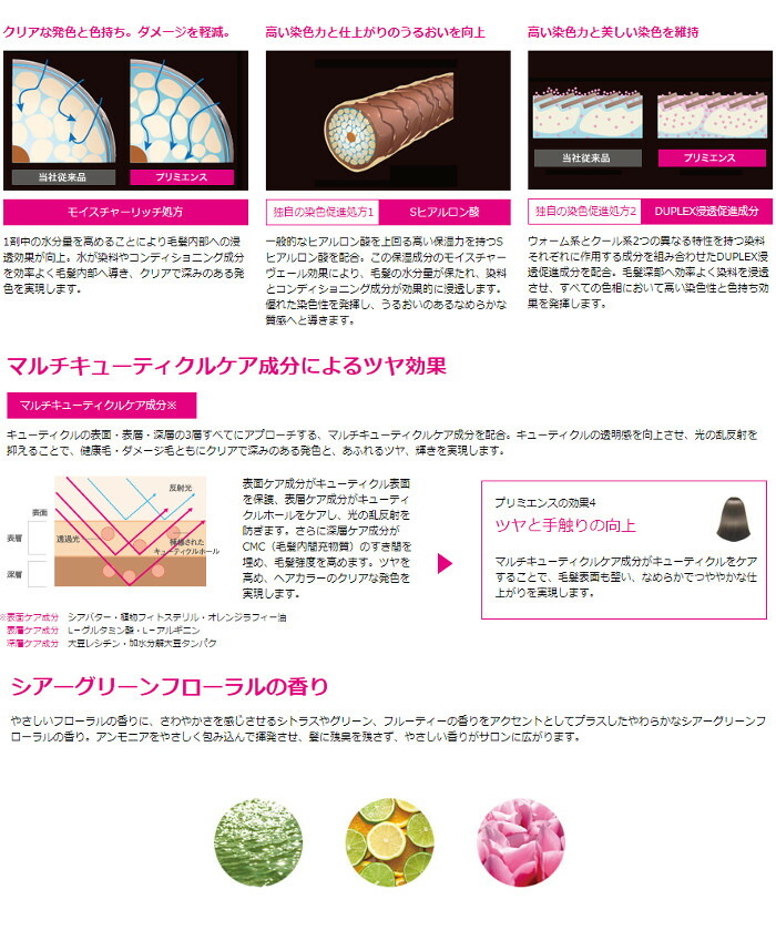 楽天市場】アウトレット☆ 資生堂 プリミエンス マルチカラーグループ