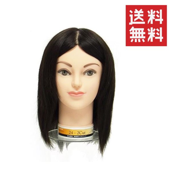 楽天市場】国家試験 カットウィッグ 練習用の通販