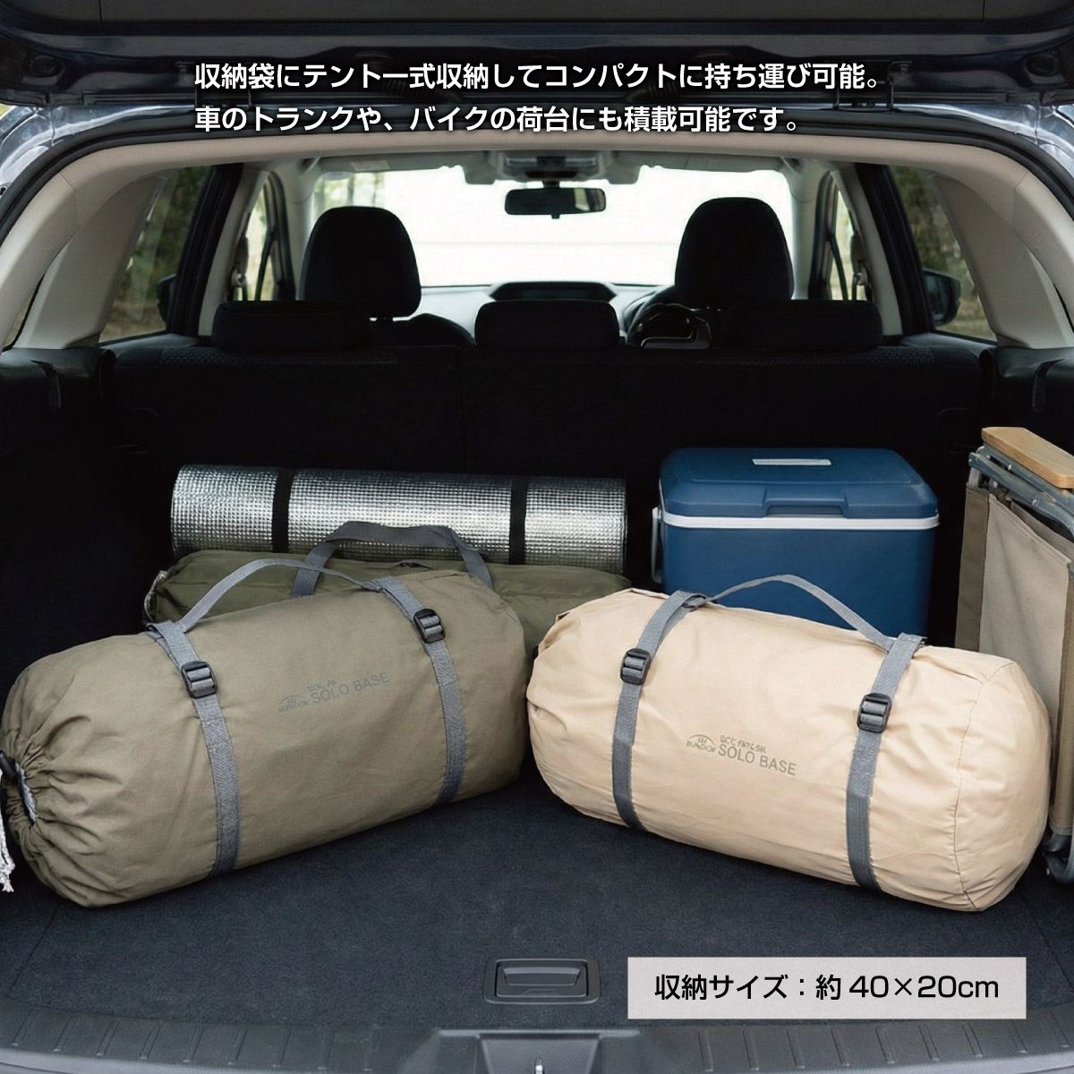 楽天市場】【在庫処分】【訳あり】【特価品】【送料無料】ソロベース