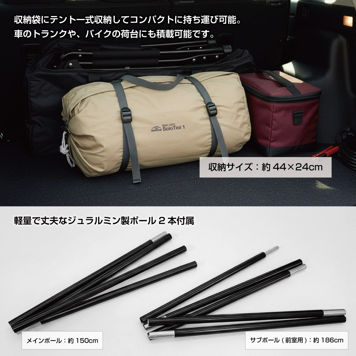 楽天市場】【在庫処分】【訳あり】【特価品】【送料無料】ソロティピー